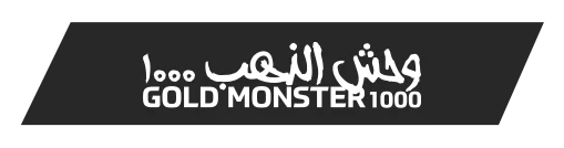 tokat-minelab-gold-monster-1000